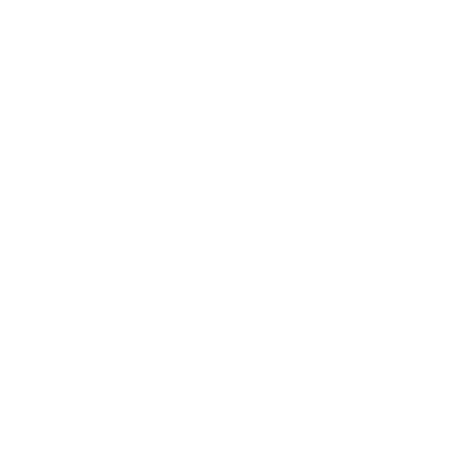 Daily Expense Budget Manager
